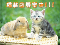 �C���[�W04